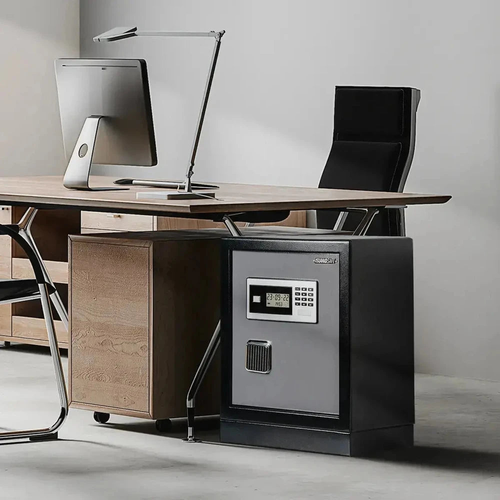 Datasavior Spacious Home Office Safe