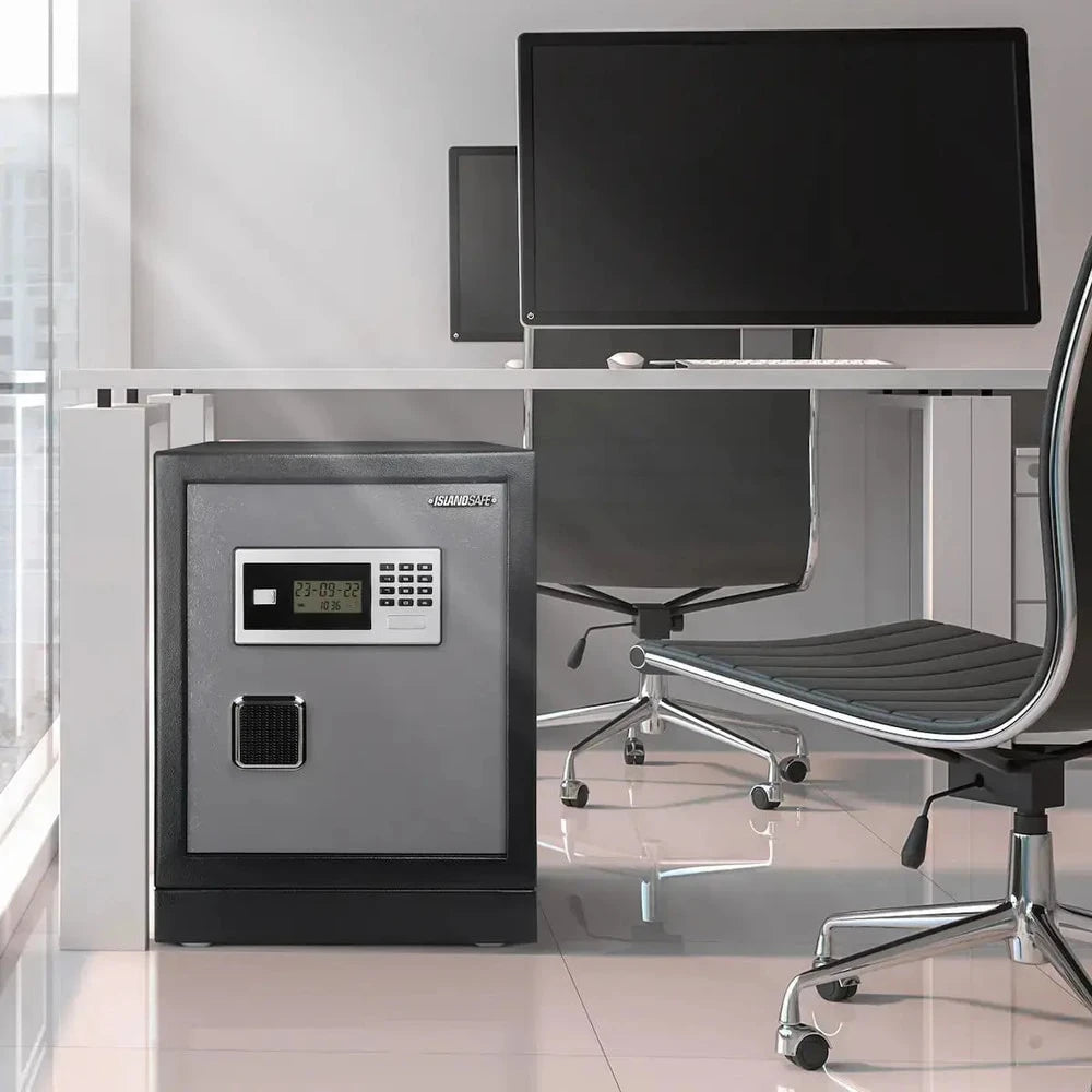 Datasavior Spacious Home Office Safe