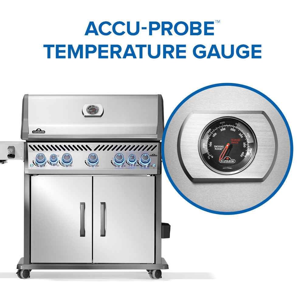 Patio Elegance Gas Grill Rogue PRO‑S 625 RSIB with Infrared Side and Rear Burners