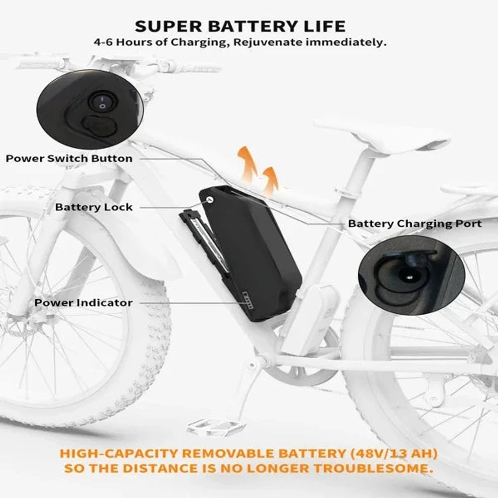 eBike Boys 750W Motor Electric Bike - 48V Battery, 20" Wheels