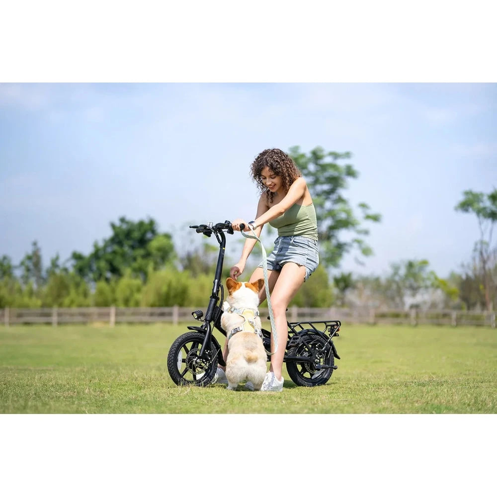 eBike Boys DYU-C3 Folding Electric Bike - Compact Aluminum Design