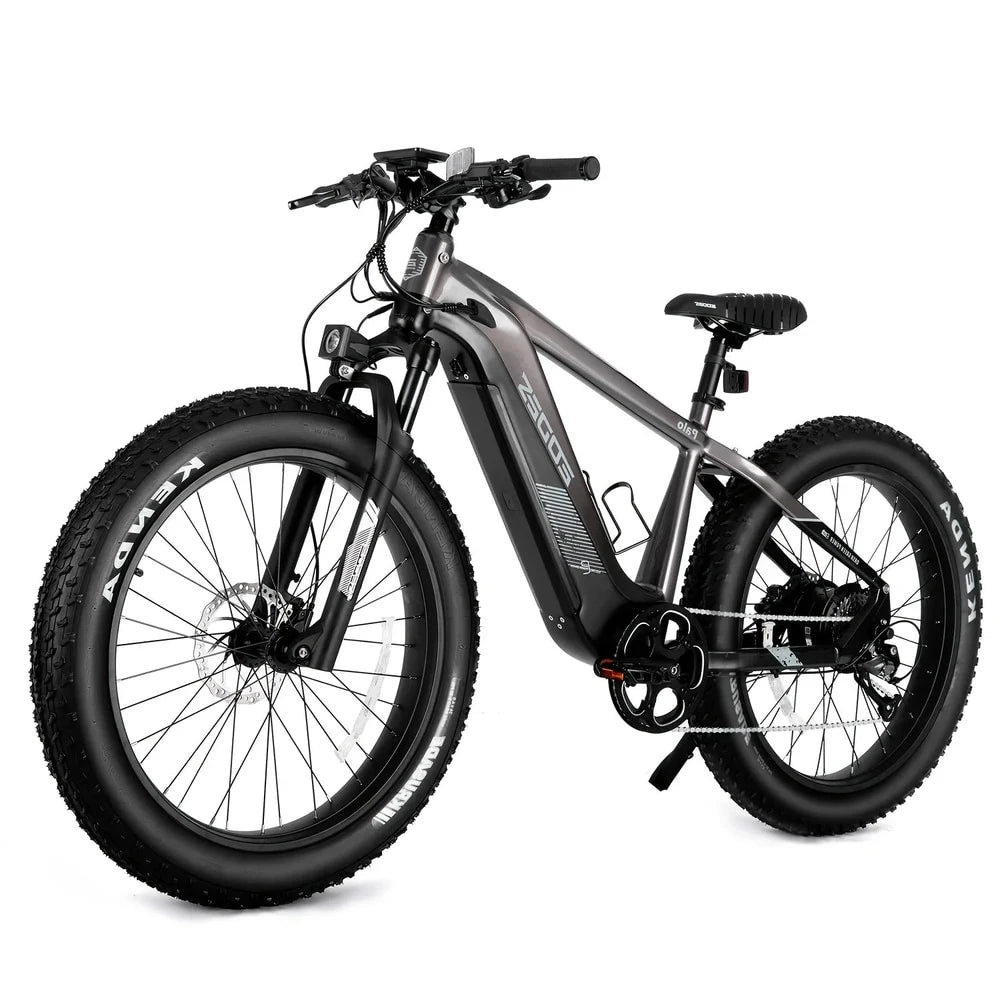 eBike Boys 52V 750W Adult eBike - 17AH Battery, Top Speed 32km/h