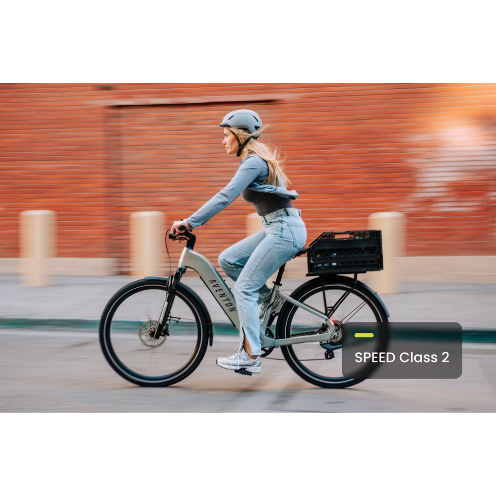 Aventon Level.3 E-Bike Step-Over