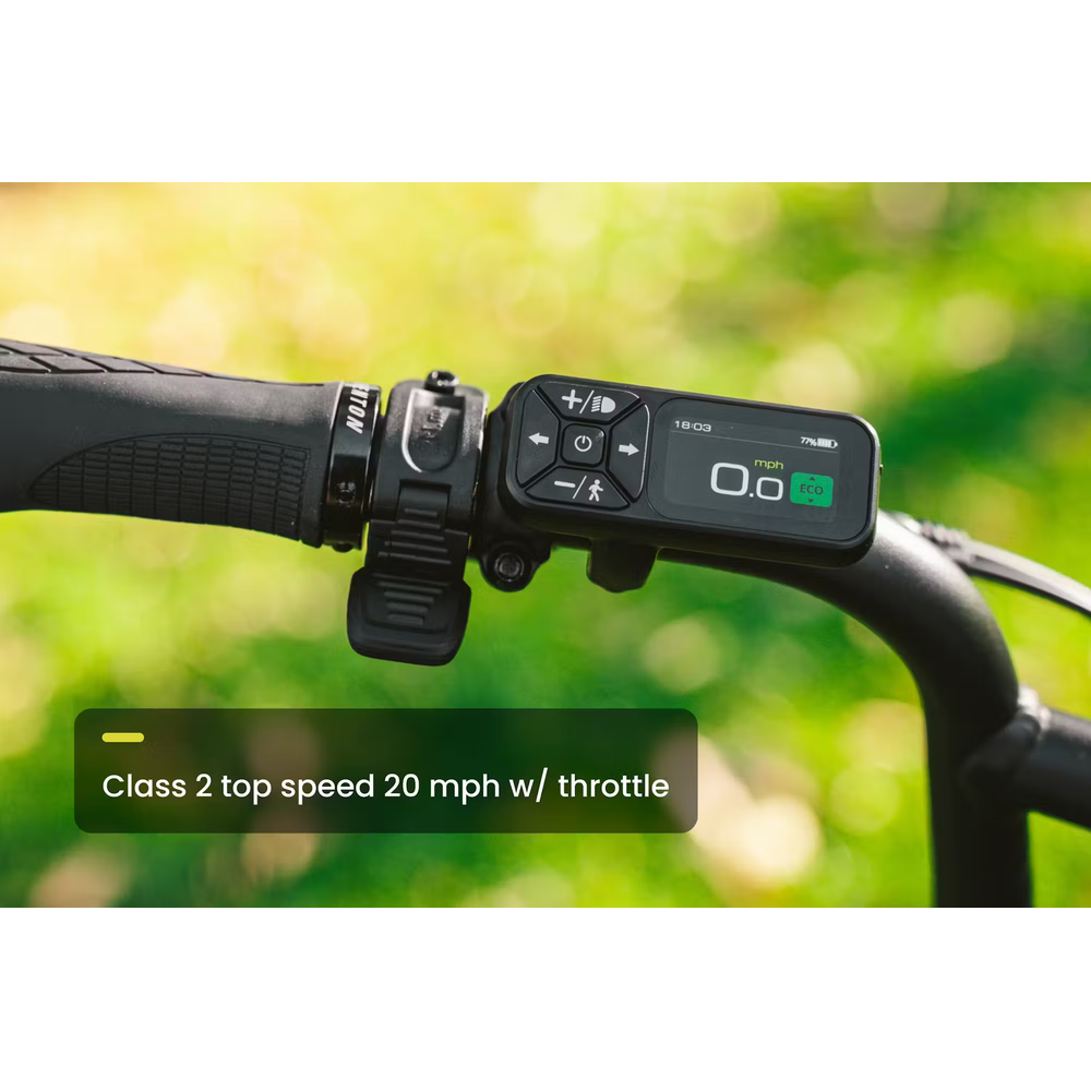 Aventon Abound SR Cargo E-Bike